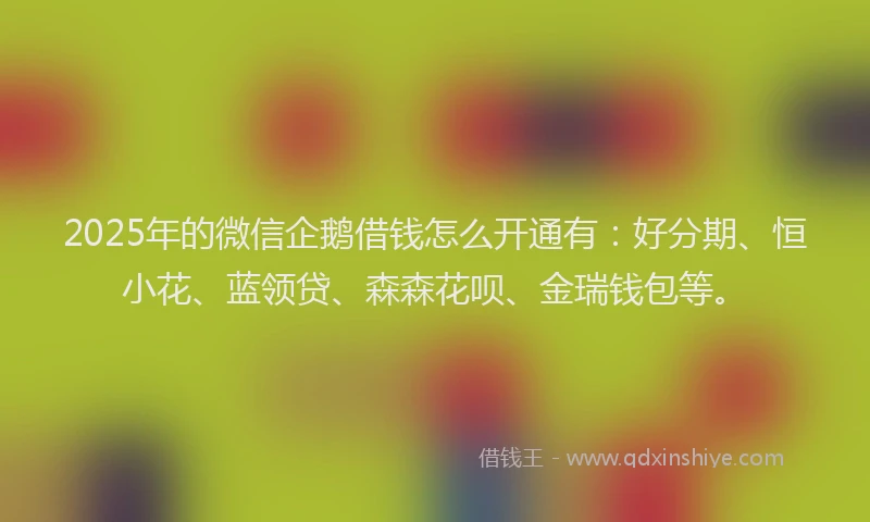 2025年的微信企鹅借钱怎么开通有：好分期、恒小花、蓝领贷、森森花呗、金瑞钱包等。