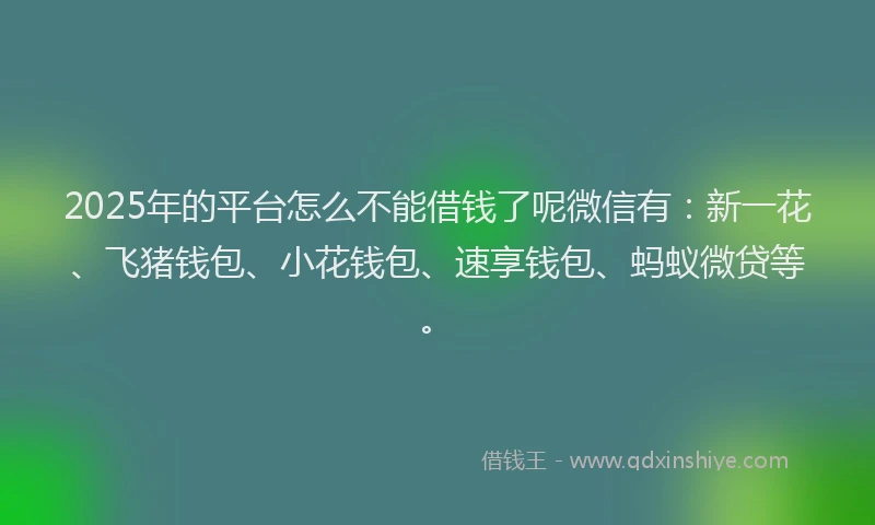 2025年的平台怎么不能借钱了呢微信有：新一花、飞猪钱包、小花钱包、速享钱包、蚂蚁微贷等。