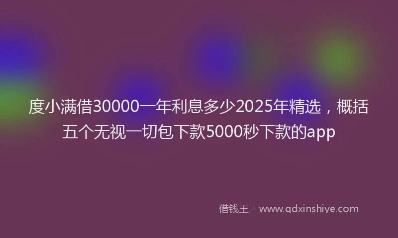 度小满借30000一年利息多少2025年精选，概括五个无视一切包下款5000秒下款的app