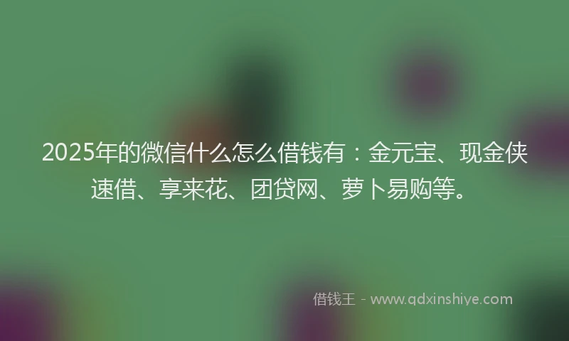 2025年的微信什么怎么借钱有：金元宝、现金侠速借、享来花、团贷网、萝卜易购等。