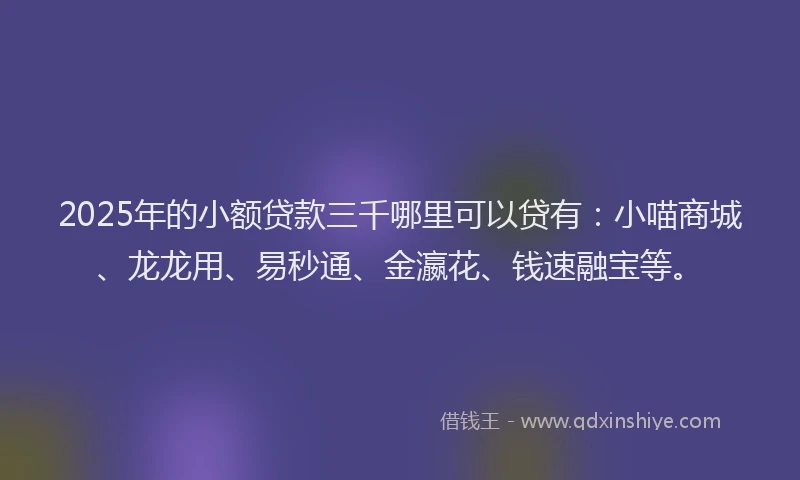 2025年的小额贷款三千哪里可以贷有：小喵商城、龙龙用、易秒通、金瀛花、钱速融宝等。