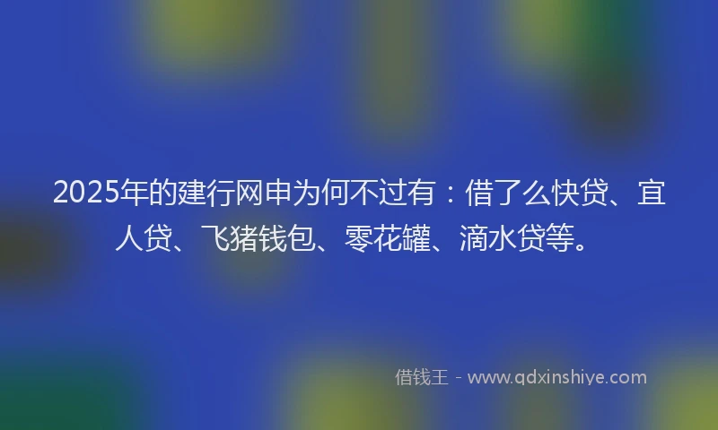 2025年的建行网申为何不过有：借了么快贷、宜人贷、飞猪钱包、零花罐、滴水贷等。