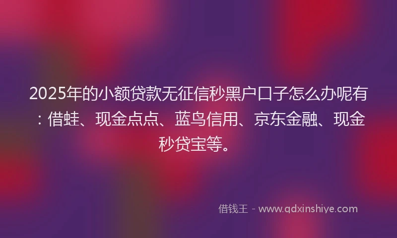 2025年的小额贷款无征信秒黑户口子怎么办呢有：借蛙、现金点点、蓝鸟信用、京东金融、现金秒贷宝等。