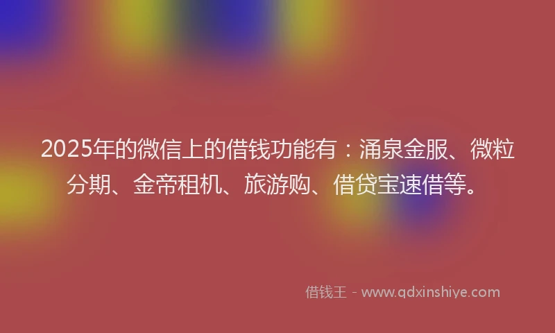 2025年的微信上的借钱功能有：涌泉金服、微粒分期、金帝租机、旅游购、借贷宝速借等。
