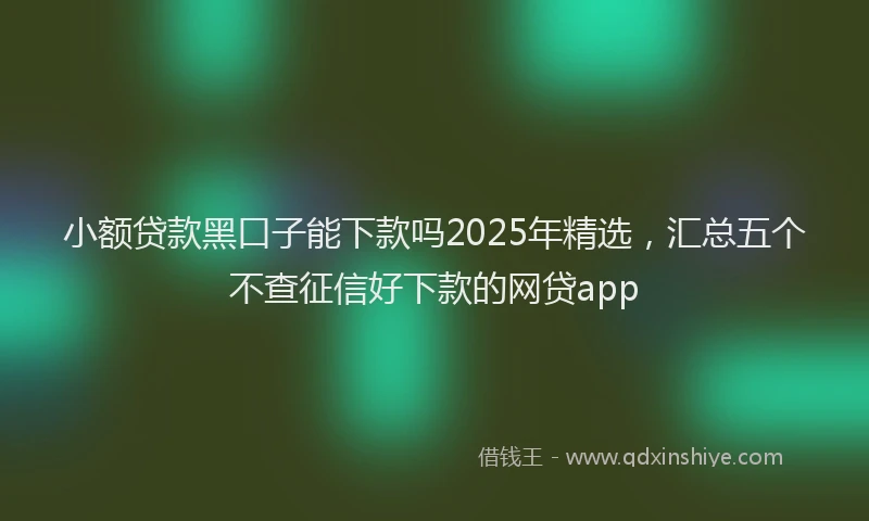 小额贷款黑口子能下款吗2025年精选，汇总五个不查征信好下款的网贷app
