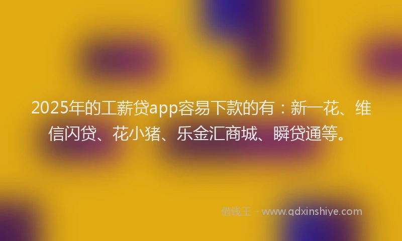 2025年的工薪贷app容易下款的有：新一花、维信闪贷、花小猪、乐金汇商城、瞬贷通等。