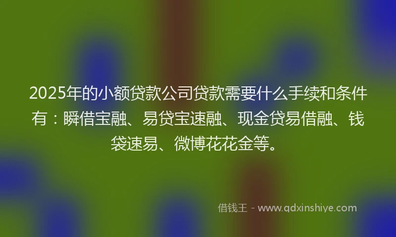 2025年的小额贷款公司贷款需要什么手续和条件有：瞬借宝融、易贷宝速融、现金贷易借融、钱袋速易、微博花花金等。
