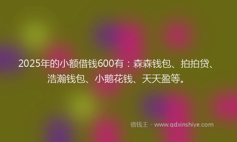 2025年的小额借钱600有：森森钱包、拍拍贷、浩瀚钱包、小鹅花钱、天天盈等。