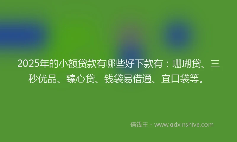 2025年的小额贷款有哪些好下款有：珊瑚贷、三秒优品、臻心贷、钱袋易借通、宜口袋等。