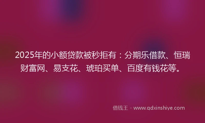 2025年的小额贷款被秒拒有：分期乐借款、恒瑞财富网、易支花、琥珀买单、百度有钱花等。