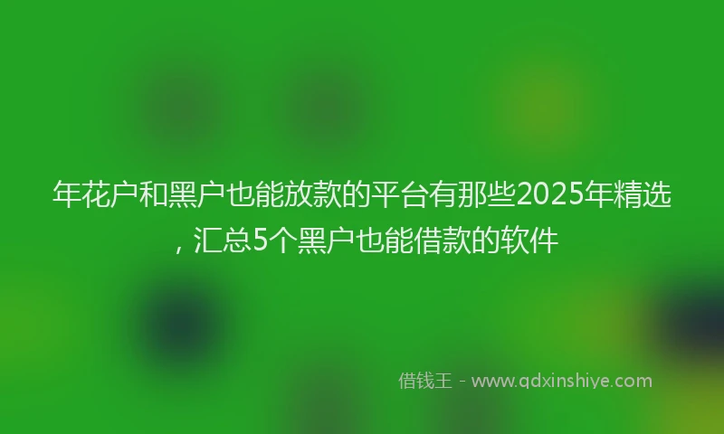 年花户和黑户也能放款的平台有那些2025年精选，汇总5个黑户也能借款的软件