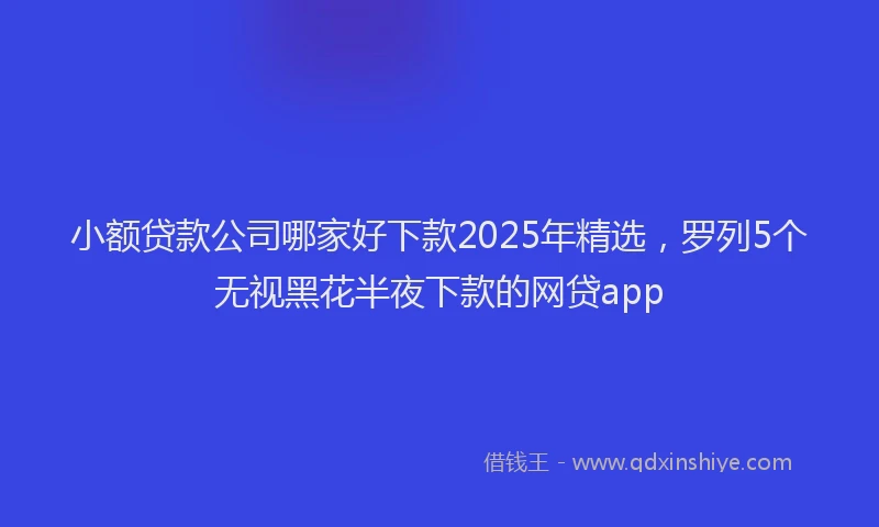 小额贷款公司哪家好下款2025年精选，罗列5个无视黑花半夜下款的网贷app