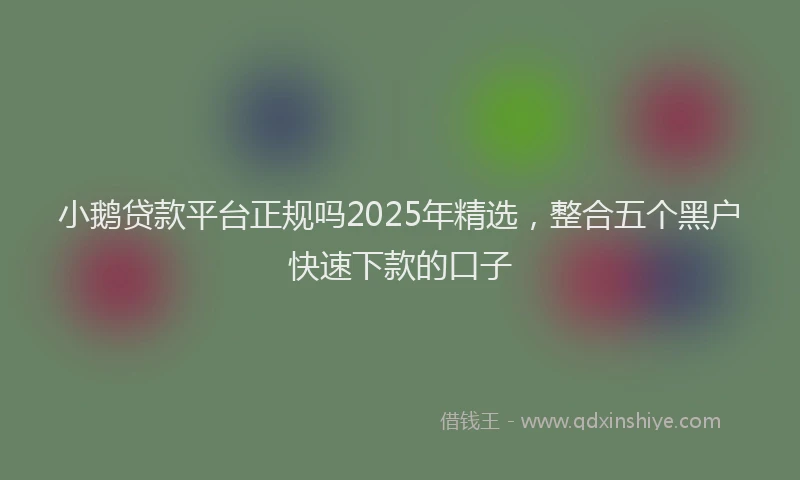 小鹅贷款平台正规吗2025年精选，整合五个黑户快速下款的口子