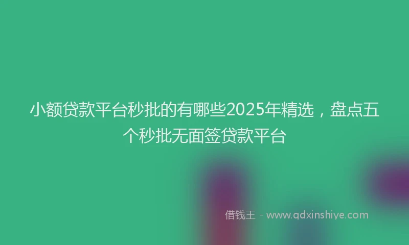 小额贷款平台秒批的有哪些2025年精选，盘点五个秒批无面签贷款平台