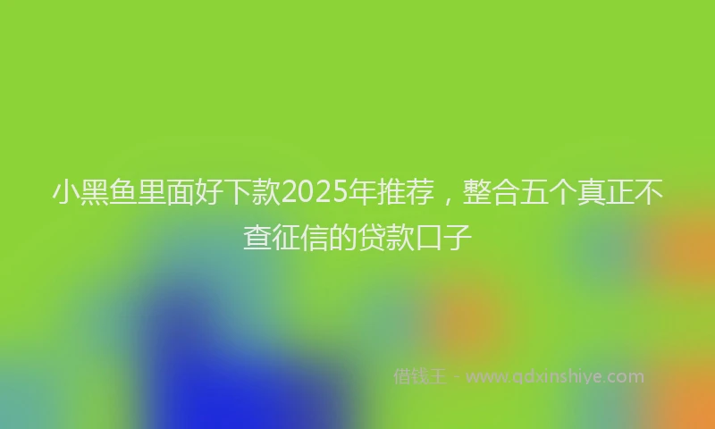 小黑鱼里面好下款2025年推荐，整合五个真正不查征信的贷款口子