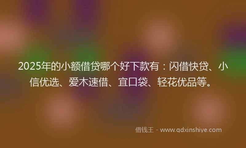 2025年的小额借贷哪个好下款有：闪借快贷、小信优选、爱木速借、宜口袋、轻花优品等。
