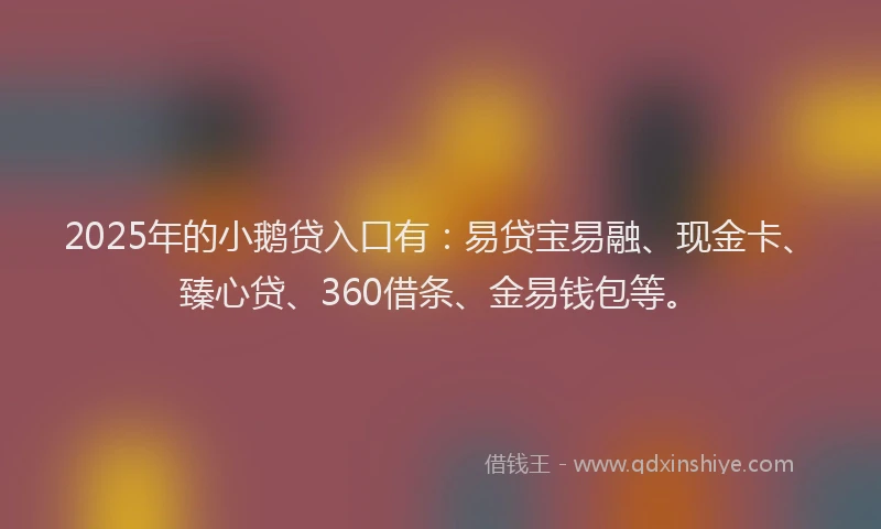 2025年的小鹅贷入口有：易贷宝易融、现金卡、臻心贷、360借条、金易钱包等。