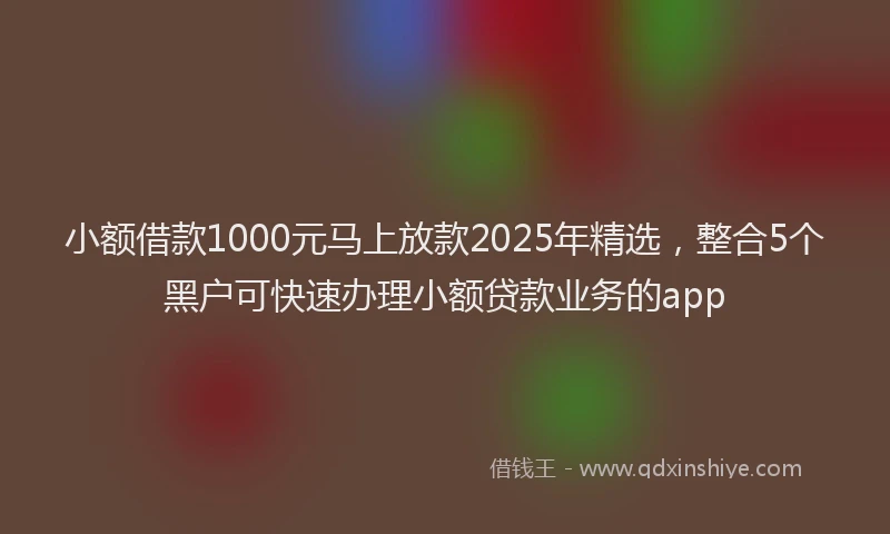 小额借款1000元马上放款2025年精选，整合5个黑户可快速办理小额贷款业务的app