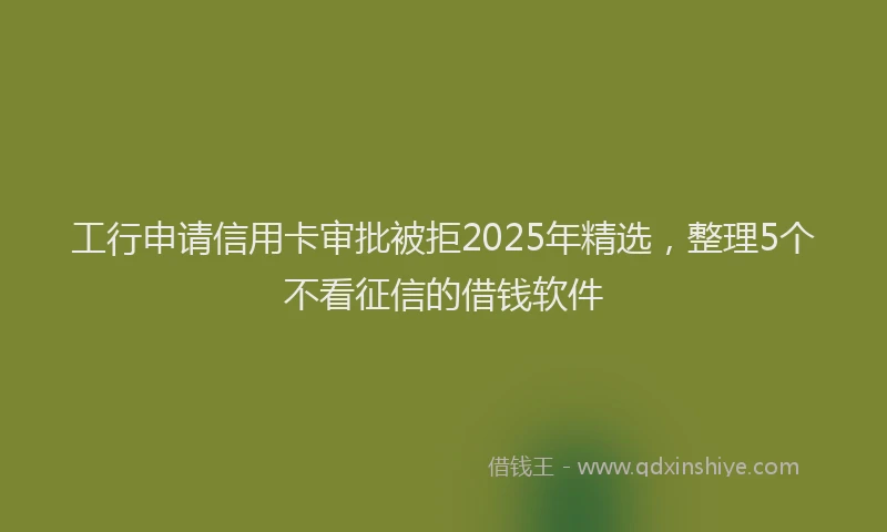 工行申请信用卡审批被拒2025年精选，整理5个不看征信的借钱软件