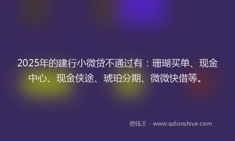 2025年的建行小微贷不通过有：珊瑚买单、现金中心、现金侠途、琥珀分期、微微快借等。