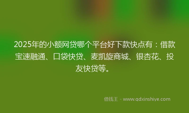 2025年的小额网贷哪个平台好下款快点有：借款宝速融通、口袋快贷、麦凯旋商城、银杏花、投友快贷等。
