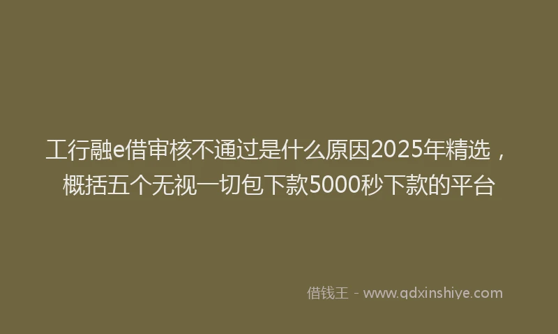 工行融e借审核不通过是什么原因2025年精选，概括五个无视一切包下款5000秒下款的平台