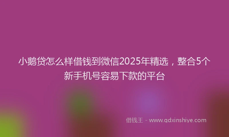 小鹅贷怎么样借钱到微信2025年精选，整合5个新手机号容易下款的平台
