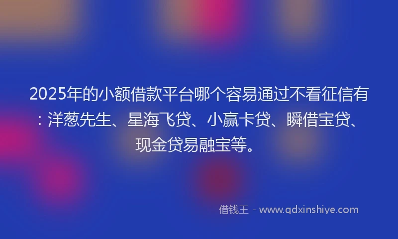 2025年的小额借款平台哪个容易通过不看征信有：洋葱先生、星海飞贷、小赢卡贷、瞬借宝贷、现金贷易融宝等。