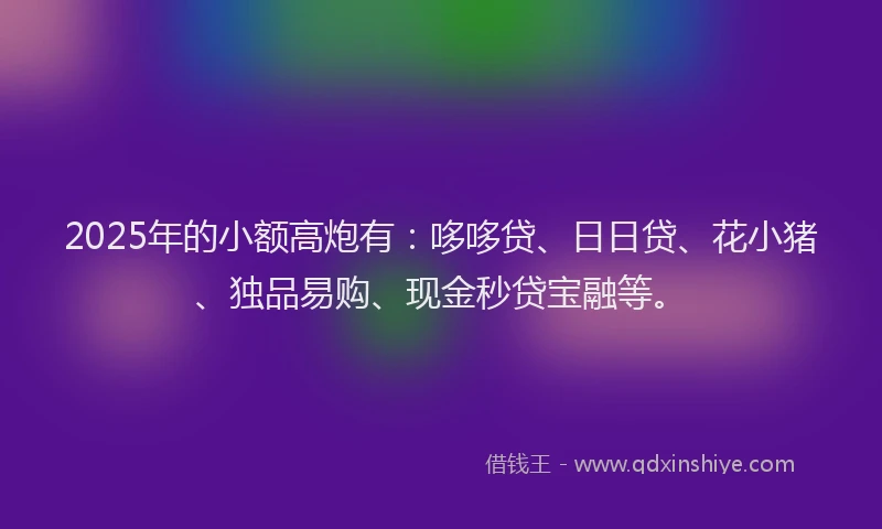 2025年的小额高炮有：哆哆贷、日日贷、花小猪、独品易购、现金秒贷宝融等。