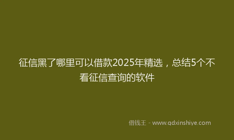 征信黑了哪里可以借款2025年精选，总结5个不看征信查询的软件