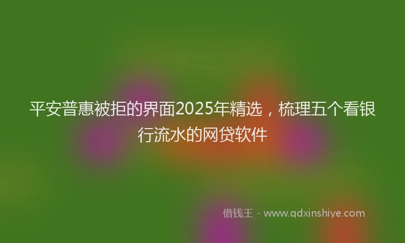 平安普惠被拒的界面2025年精选，梳理五个看银行流水的网贷软件