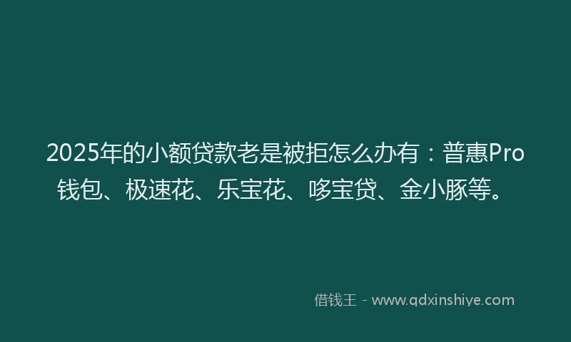 2025年的小额贷款老是被拒怎么办有：普惠Pro钱包、极速花、乐宝花、哆宝贷、金小豚等。