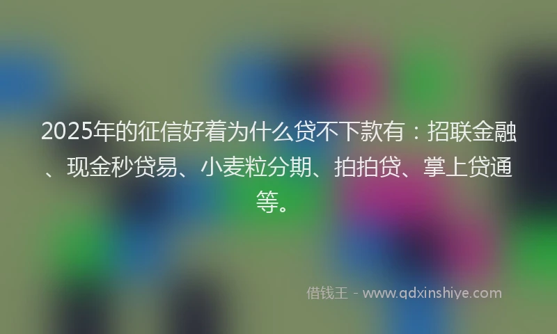 2025年的征信好着为什么贷不下款有：招联金融、现金秒贷易、小麦粒分期、拍拍贷、掌上贷通等。