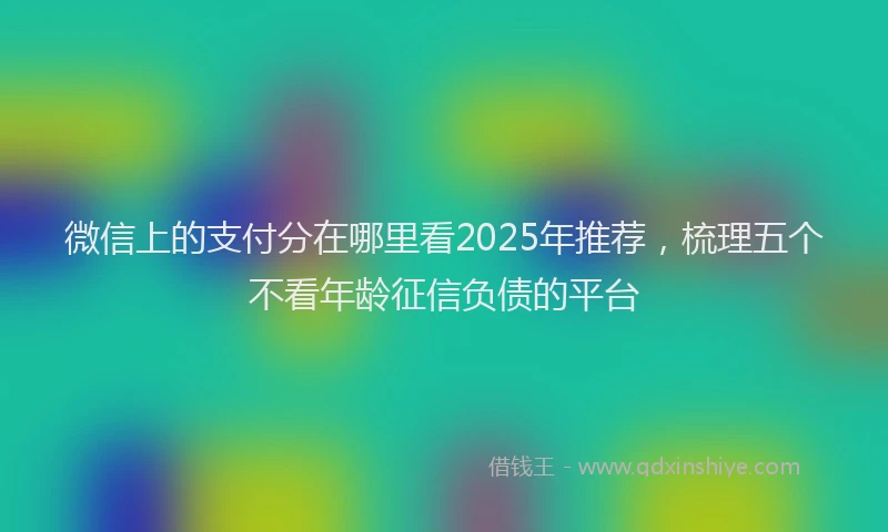 微信上的支付分在哪里看2025年推荐，梳理五个不看年龄征信负债的平台