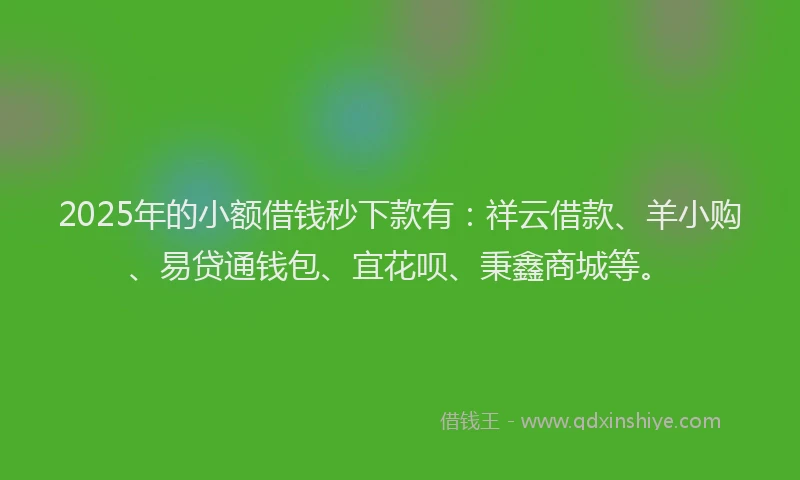 2025年的小额借钱秒下款有：祥云借款、羊小购、易贷通钱包、宜花呗、秉鑫商城等。