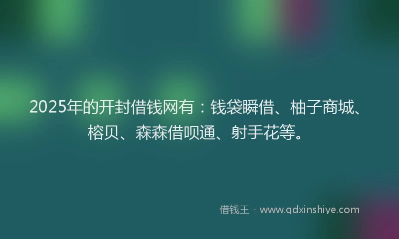 2025年的开封借钱网有：钱袋瞬借、柚子商城、榕贝、森森借呗通、射手花等。