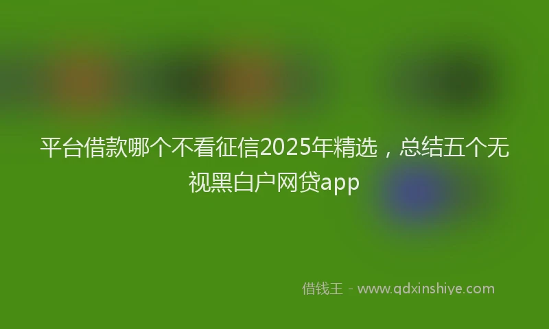 平台借款哪个不看征信2025年精选，总结五个无视黑白户网贷app