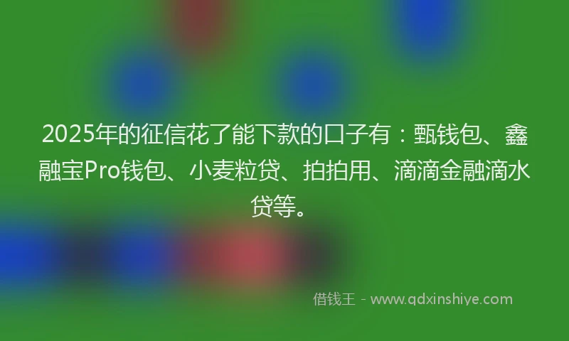 2025年的征信花了能下款的口子有：甄钱包、鑫融宝Pro钱包、小麦粒贷、拍拍用、滴滴金融滴水贷等。