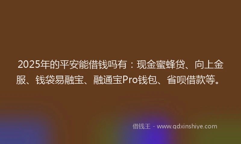 2025年的平安能借钱吗有：现金蜜蜂贷、向上金服、钱袋易融宝、融通宝Pro钱包、省呗借款等。