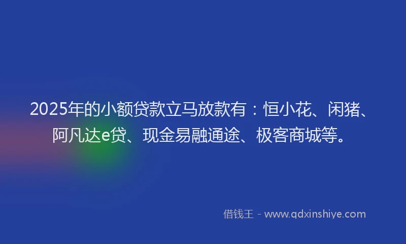2025年的小额贷款立马放款有：恒小花、闲猪、阿凡达e贷、现金易融通途、极客商城等。