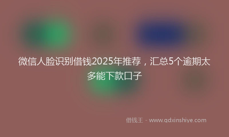 微信人脸识别借钱2025年推荐，汇总5个逾期太多能下款口子