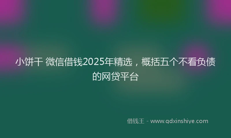 小饼干 微信借钱2025年精选，概括五个不看负债的网贷平台