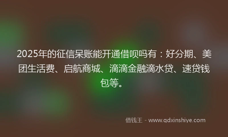 2025年的征信呆账能开通借呗吗有：好分期、美团生活费、启航商城、滴滴金融滴水贷、速贷钱包等。