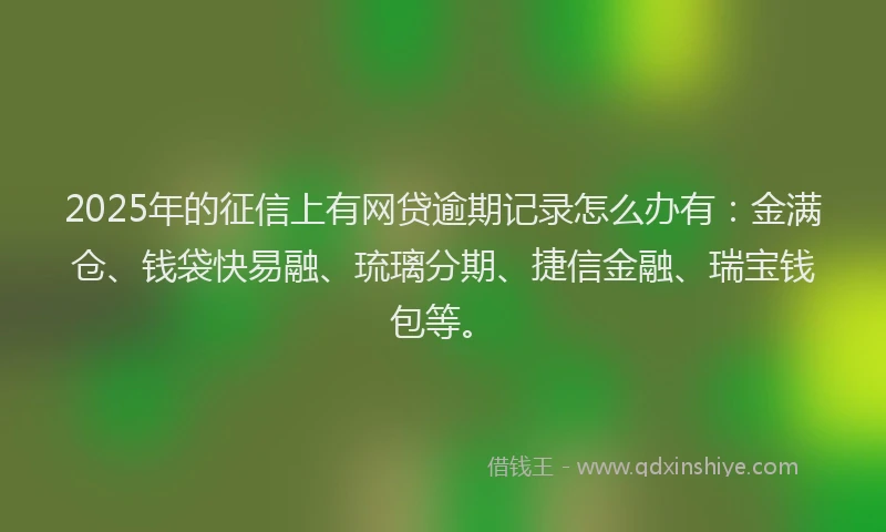 2025年的征信上有网贷逾期记录怎么办有：金满仓、钱袋快易融、琉璃分期、捷信金融、瑞宝钱包等。