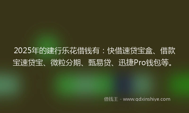 2025年的建行乐花借钱有：快借速贷宝盒、借款宝速贷宝、微粒分期、甄易贷、迅捷Pro钱包等。