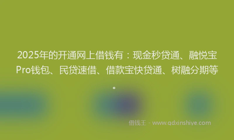 2025年的开通网上借钱有：现金秒贷通、融悦宝Pro钱包、民贷速借、借款宝快贷通、树融分期等。