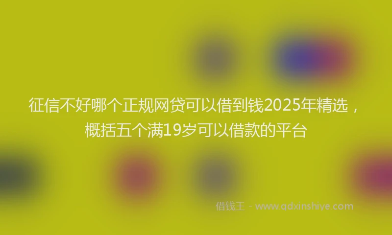 征信不好哪个正规网贷可以借到钱2025年精选，概括五个满19岁可以借款的平台