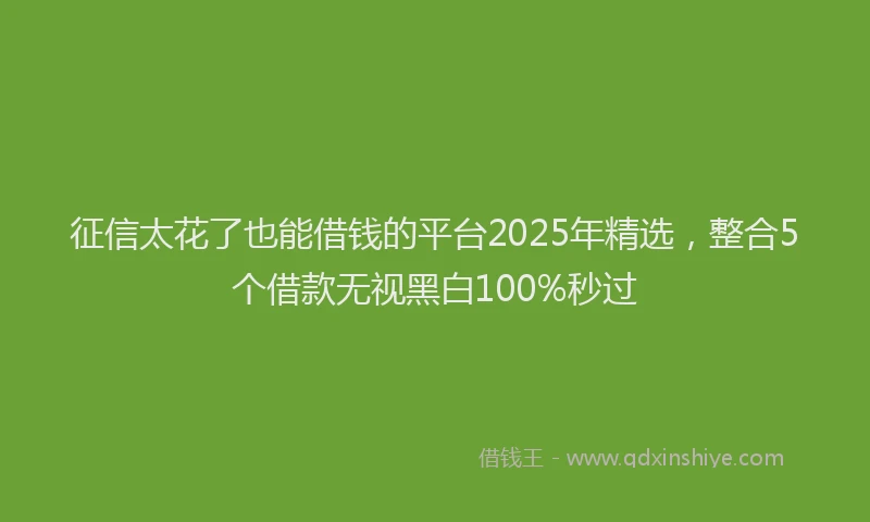 征信太花了也能借钱的平台2025年精选，整合5个借款无视黑白100%秒过