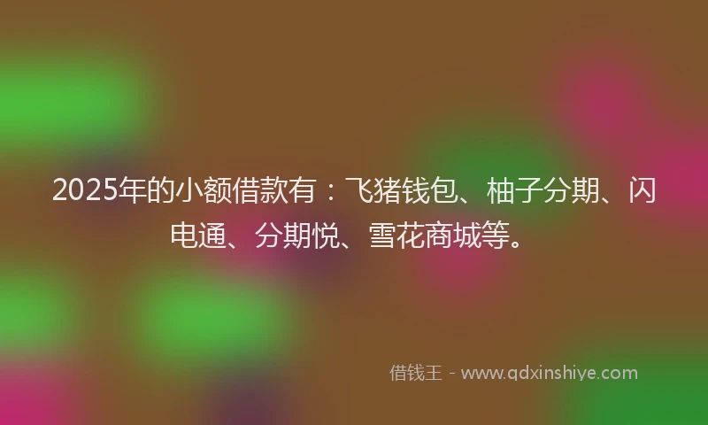2025年的小额借款有：飞猪钱包、柚子分期、闪电通、分期悦、雪花商城等。