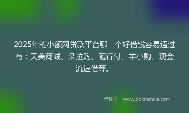 2025年的小额网贷款平台哪一个好借钱容易通过有：天美商城、朵拉购、随行付、羊小购、现金流速借等。
